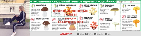 ГАЛЛЮЦИНОГЕННЫЕ ГРИБЫ Армянск