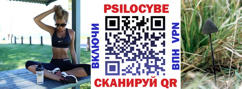 как найти закладки  Красавино  Галлюциногенные грибы MAGIC MUSHROOMS 